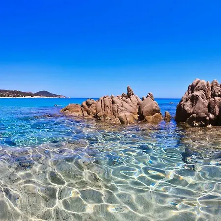 아파트 Vacanze Sardegna 산타테레사의갈루라