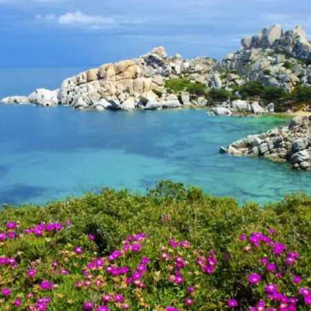 Vacanze Sardegna 아파트 산타테레사의갈루라