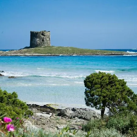 아파트 Vacanze Sardegna 산타테레사의갈루라
